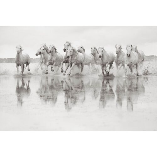 Drew Doggett - Spirit of the Camargue - Drew Doggett Photography ...